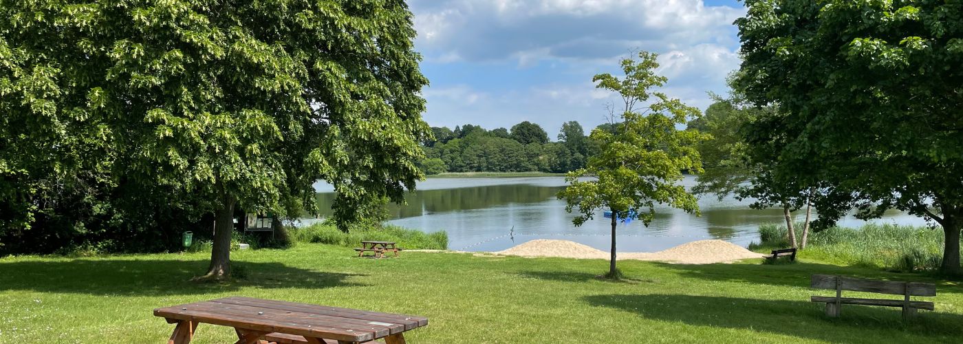 A serene lakeside scene with lush green trees, a wooden picnic table in the foreground, and a small sandy beach leading to the tranquil water.