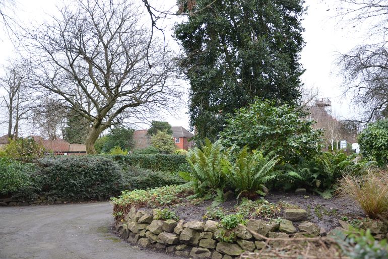 A serene garden with a variety of trees, shrubs, and a stone wall, under a cloudy sky.