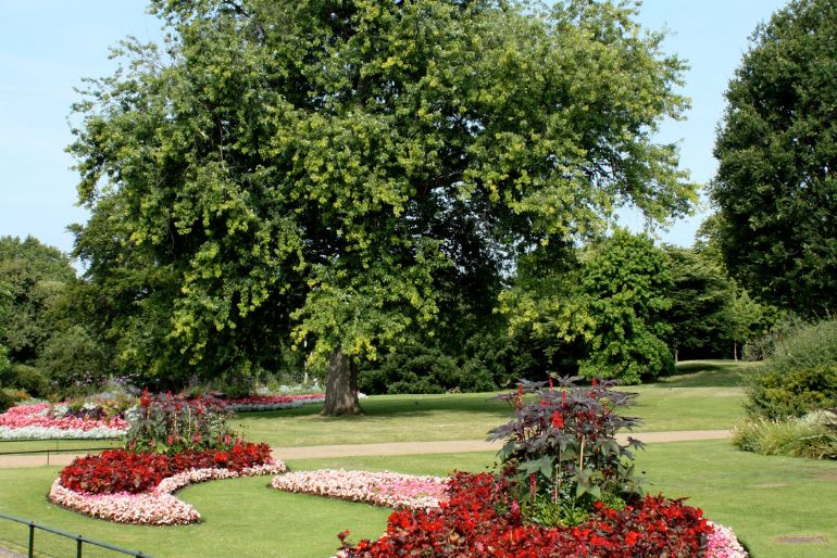 A lush green park with large trees, vibrant flowerbeds in multiple colors, and a clear sky above.