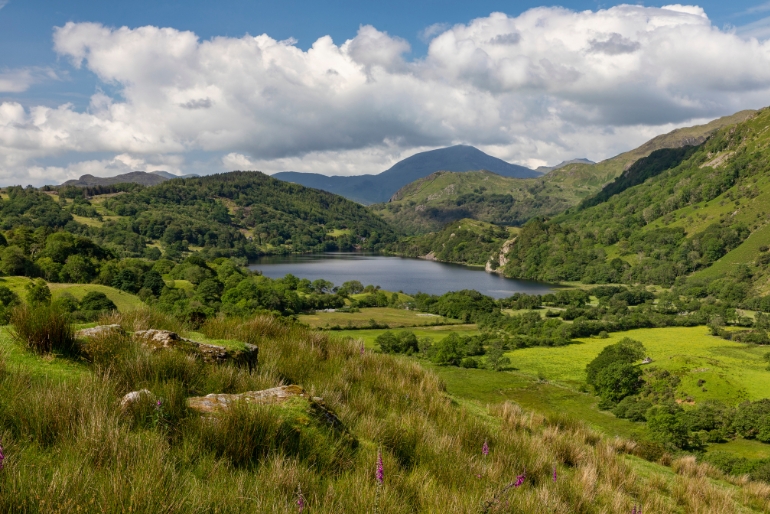 Llyn Gwynant Campsite in Eryi National Park. A beautiful lake surrounded by mountains.