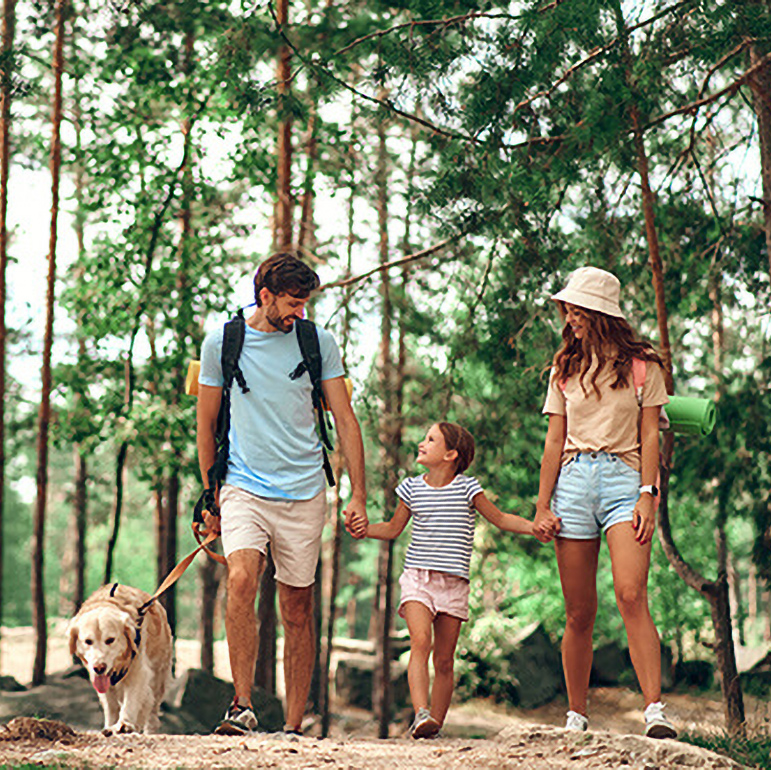 Walking kids with father and mother in the forest