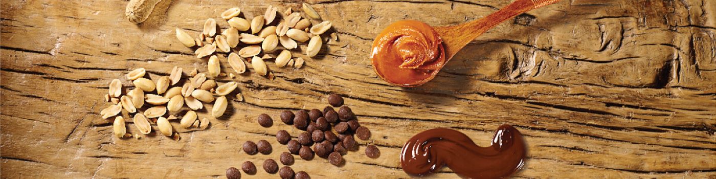 Protein-Snacksize Peanut Butter Chocolate Ingredients