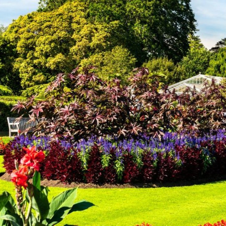 A panoramic view of a well-manicured garden with colorful flower beds, a greenhouse, and lush trees under a clear blue sky.