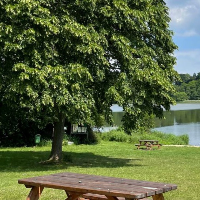 A serene lakeside scene with lush green trees, a wooden picnic table in the foreground, and a small sandy beach leading to the tranquil water.