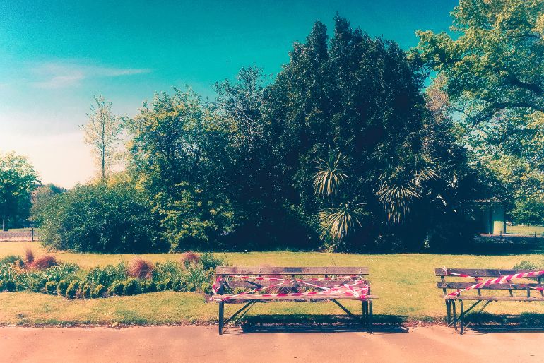 Two weathered benches with vibrant pink stripes on a serene park pathway, surrounded by lush green trees and shrubs under a clear, blue sky.