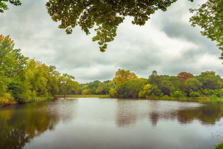 A serene, cloudy day over a calm lake surrounded by lush greenery with treetops partially framing the view.