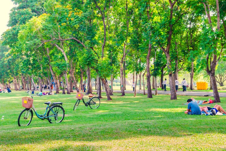 A serene park scene with lush green trees, grass, a couple lying on the ground, and bicycles with baskets resting nearby.