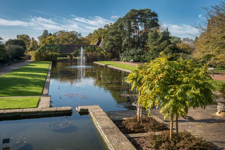 Tranquil garden with a central pond and fountain, lined by lush trees under a clear blue sky.