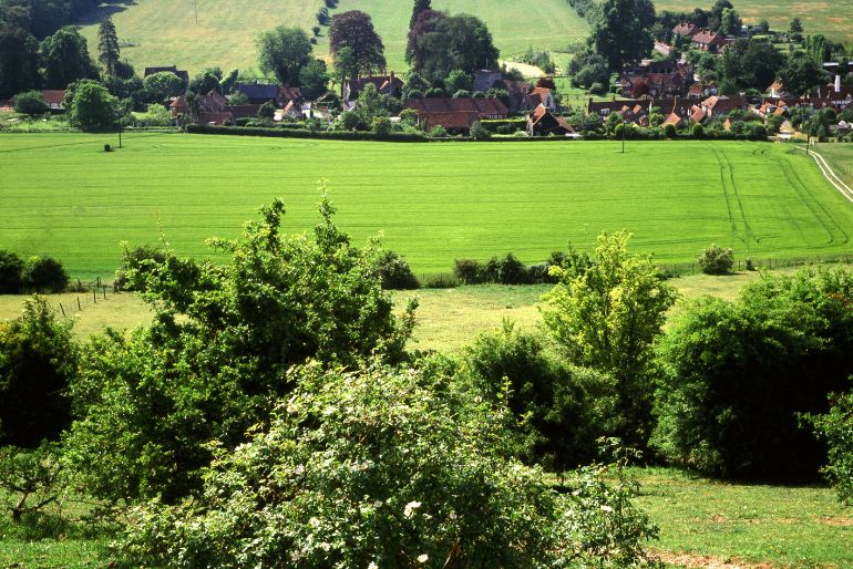 A serene valley with lush green meadows, a row of trees in the foreground, and quaint houses nestled in the distance under a clear sky.